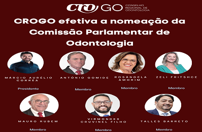 Comissão Parlamentar de Odontologia do CROGO - 398 x 260