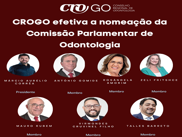 Comissão Parlamentar de Odontologia do CROGO - 600 x 450