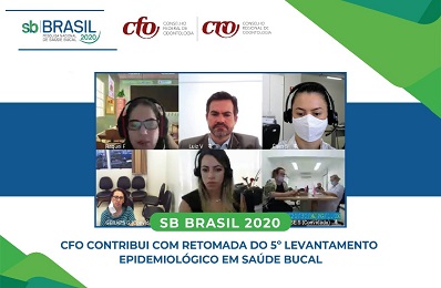 Levantamento epidemiológico - 398 x 260