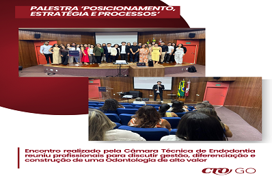 Palestra Posicionamento Estratégia Processos -  398 x 260