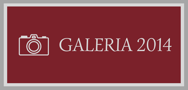 Galeria7